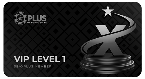 vip1