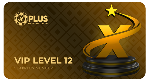 X - VIP