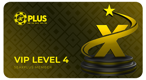 vip4